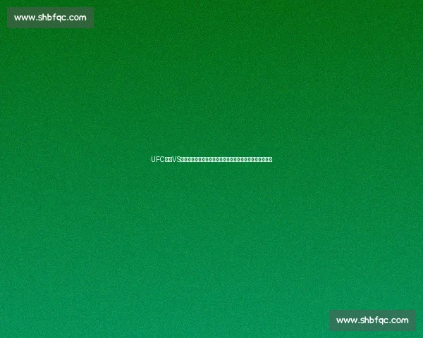 UFC温顿VS锤子巅峰对决力量技术与意志的终极较量八角笼历史性一战